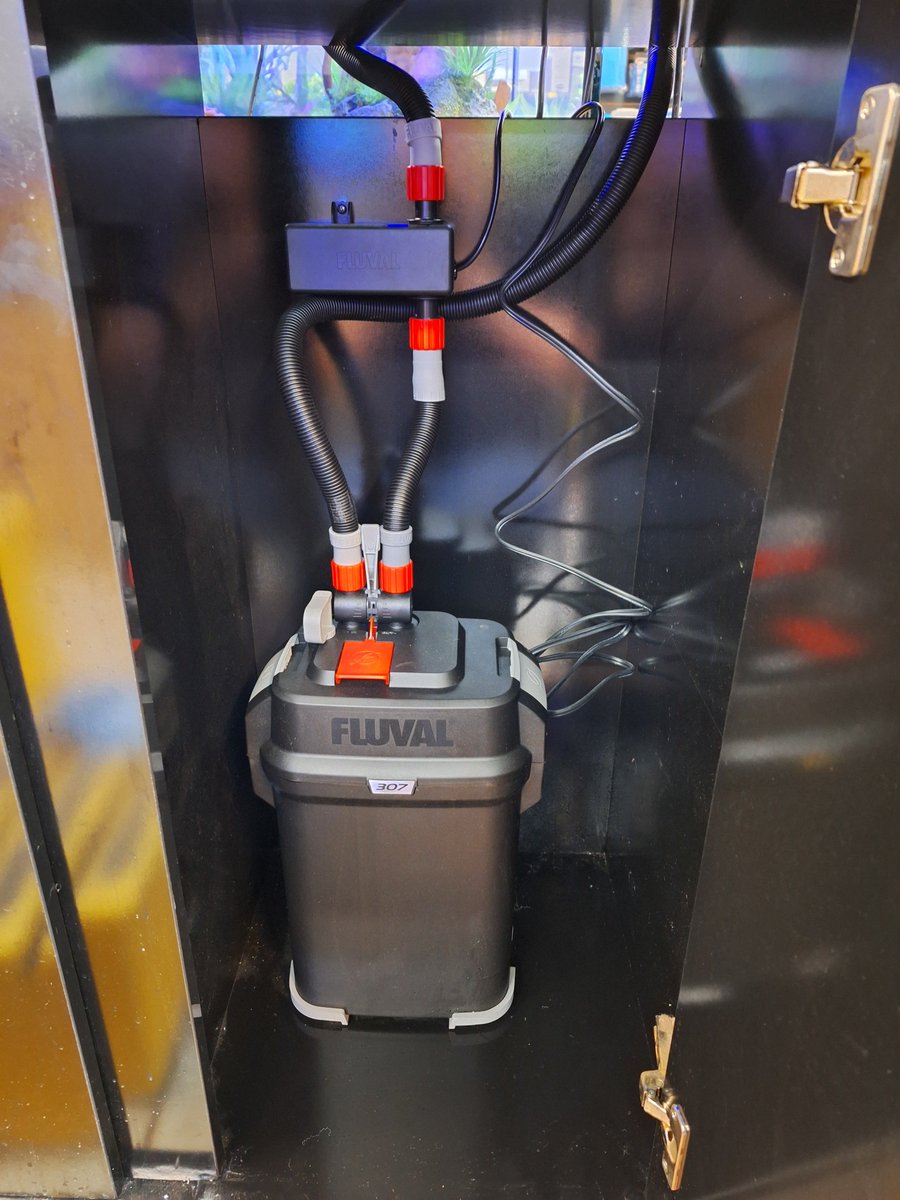 BigAlsInnes's tweet photo. Filter Time! We are going with a Fluval 307 Canister with a Fluval in line UVC clarifier. Working on a hardscape set up.. https://t.co/6mejzd5eVU