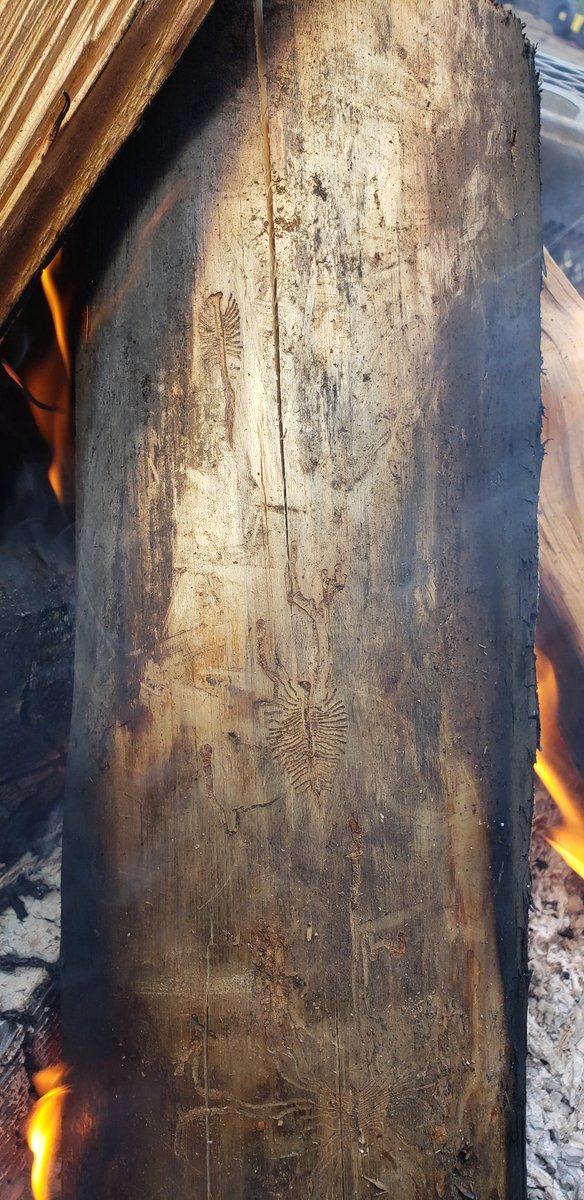 thought this was interesting