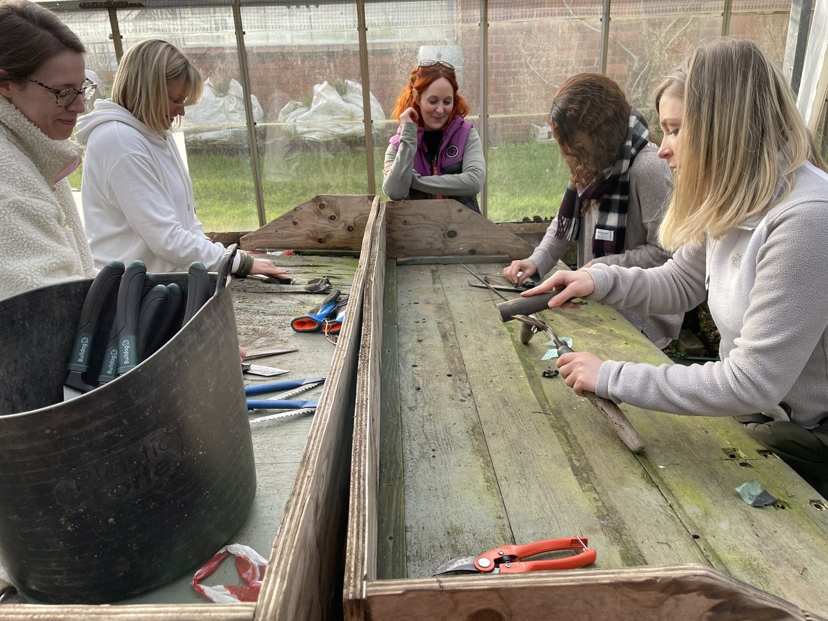 Laughing Gardener (@laughingardener) on Twitter photo Great day for pruning hedges with our @RHS_Learning level 2 learners, <a href="/winterbournehg/">Winterbourne HG</a> using mechanical hedge trimmers and hand shears. Plus cleaning and sharpening pruning tools!!
Lots of fun!!! Great day for pruning hedges with our @RHS_Learning level 2 learners, <a href="/winterbournehg/">Winterbourne HG</a> using mechanical hedge trimmers and hand shears. Plus cleaning and sharpening pruning tools!!
Lots of fun!!!