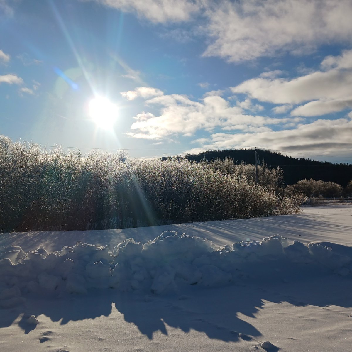 What a gorgeous winter day!

#BonavistaBay
#BonavistaPeninsula 
#PlateCoveWest
#winter