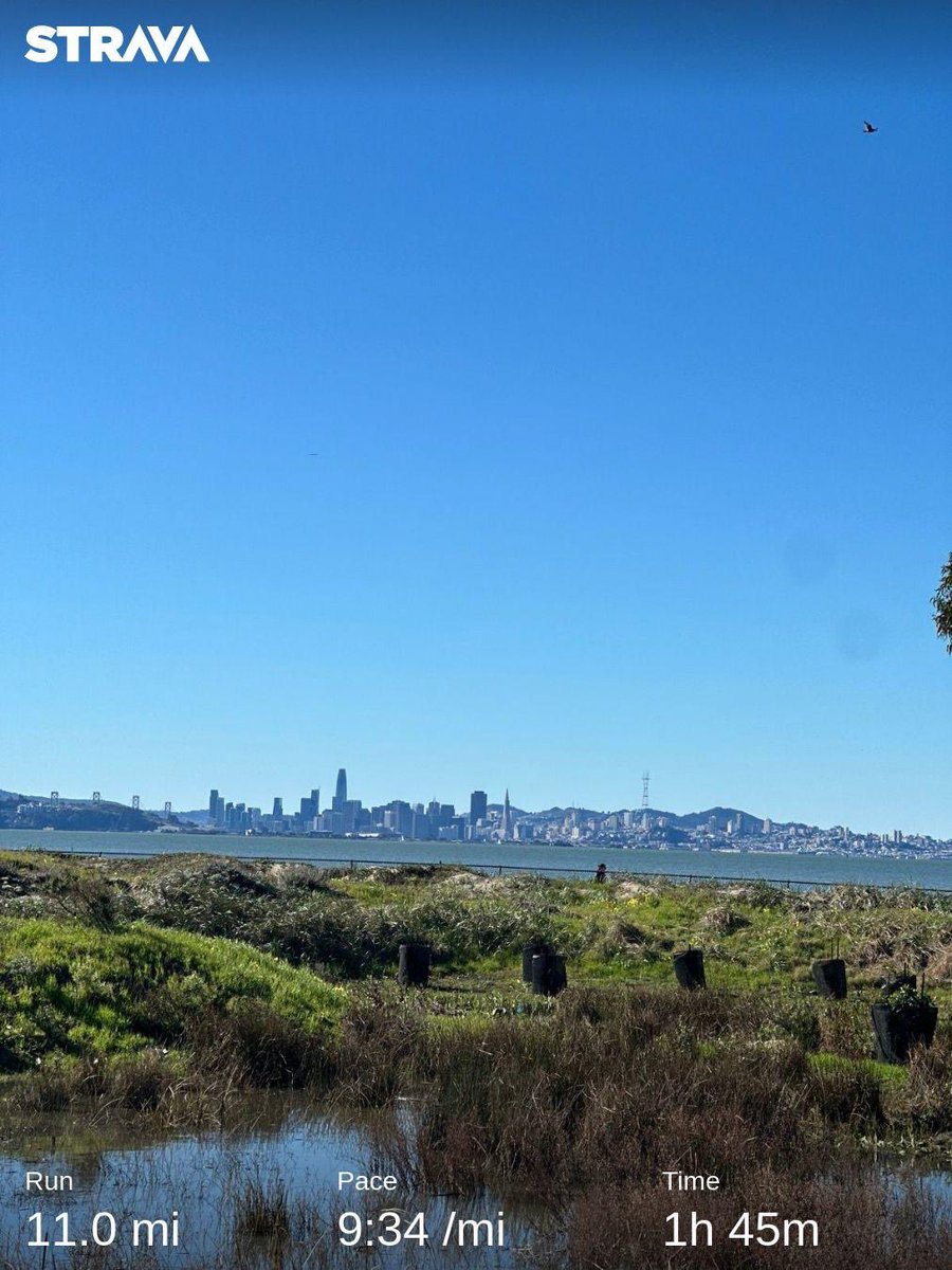 Cardo_SF's tweet photo. Happy Saturday!

#Run https://t.co/o7tTfIBi9c