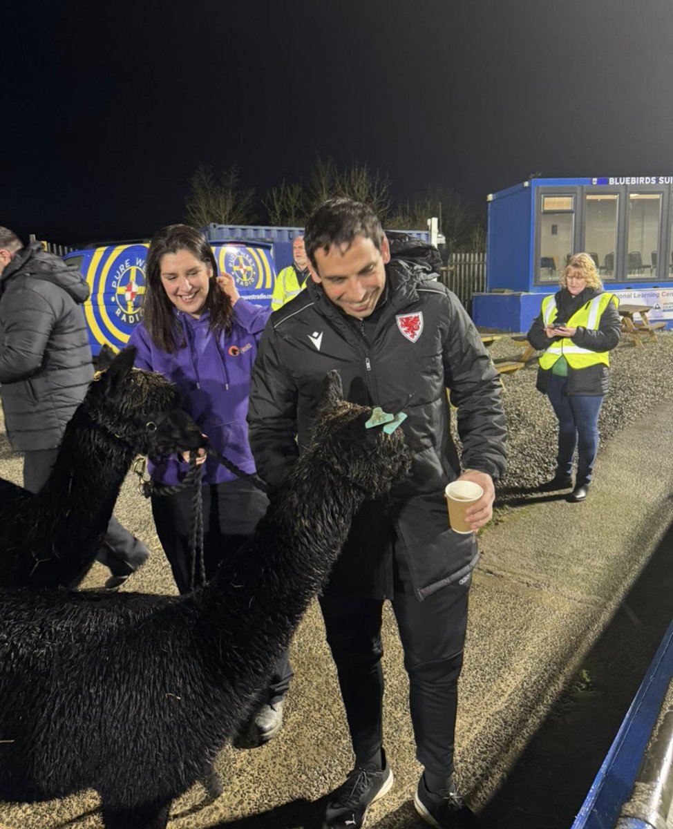 Prematch with the alpacas

MD24

#refereeing