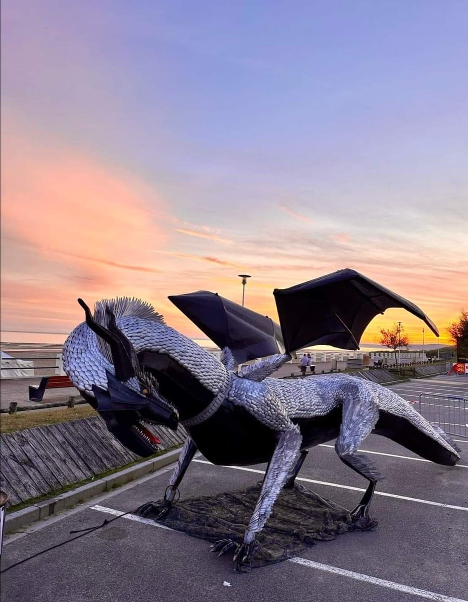 MervilleFrPlage's tweet photo. Nouvel an chinois... année du Dragon ! S'il y a bien une contrée où on s'y connait en dragon... c'est à @MervilleFrPlage. Rdv les 21 et 22 sept à @cidreetdragon ! Année porte-Bonheur donc ! https://t.co/YmAptioGVd