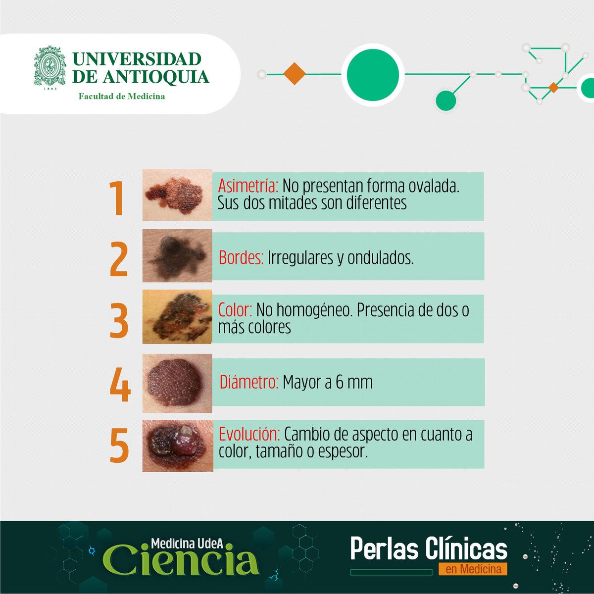MedUdeACiencia tweet media