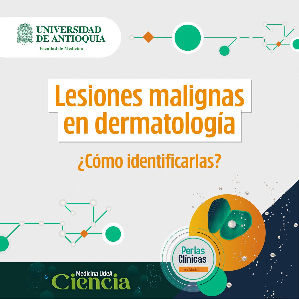 MedUdeACiencia tweet media