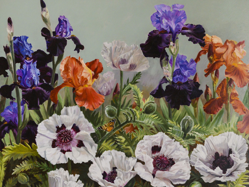 Michelle Bennett-Oates ( British, 1928 - 2009). Cedric Morris White Poppies and Iris (oil painting).