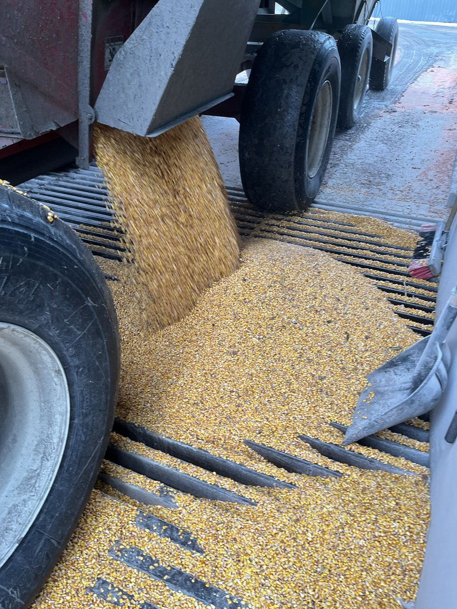 Greg Vanden Bosch 🇨🇦 tweet media