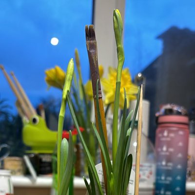 Grahno1982's tweet photo. #NewProfilePic https://t.co/PvZXkfJLvc