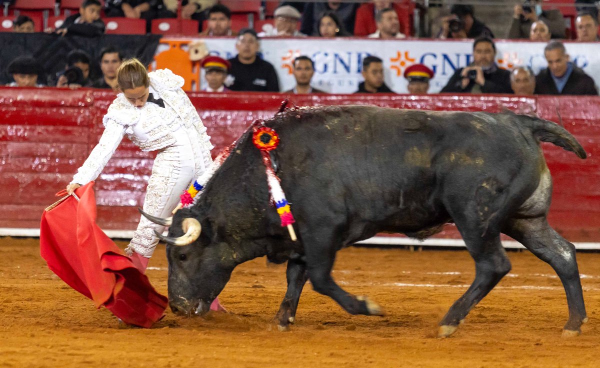La Matadora <a href="/paolasanroman7/">Paola San Román</a> hizo el toreo bueno ayer en <a href="/LaPlazaMexico/">La Plaza Mexico</a>, logrando poner de acuerdo a los mas de 14,000 aficionados asistentes. Faena de gran calado,de mano baja y aprovechando la gran calidad del toro de Marco Garfias. Foto:Plaza México 
<a href="/RadioFaena/">Radio Faena</a>