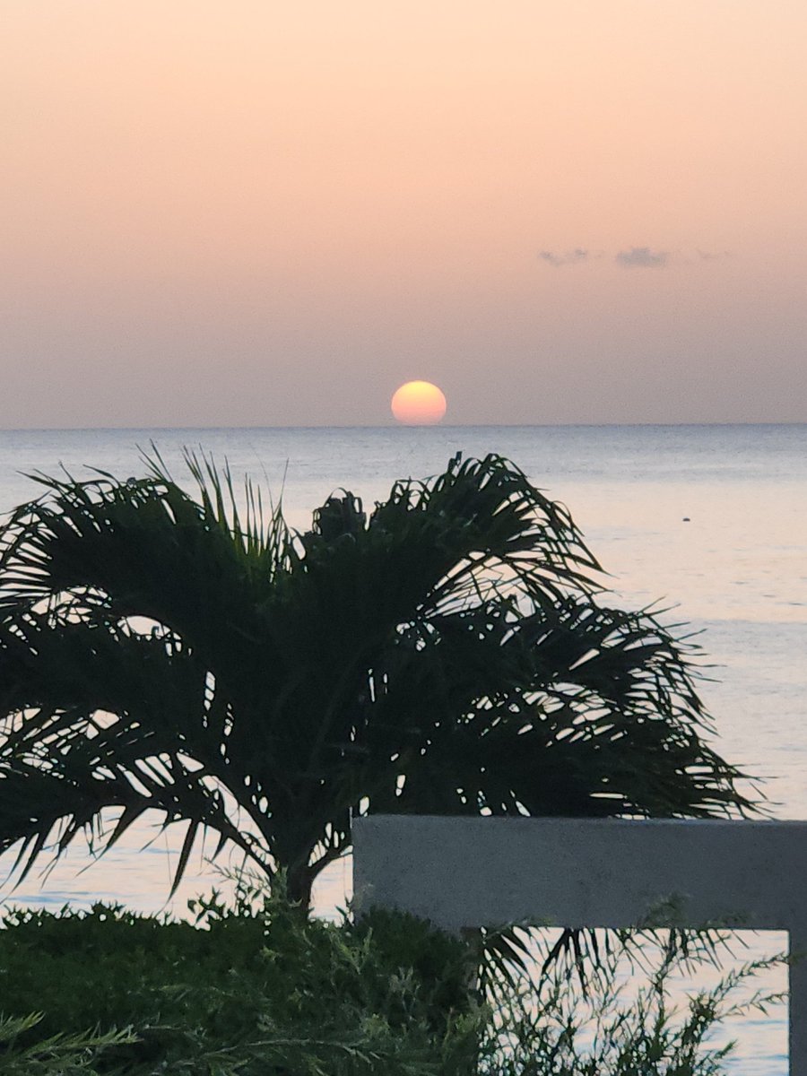 scottmcquinn1's tweet image. 