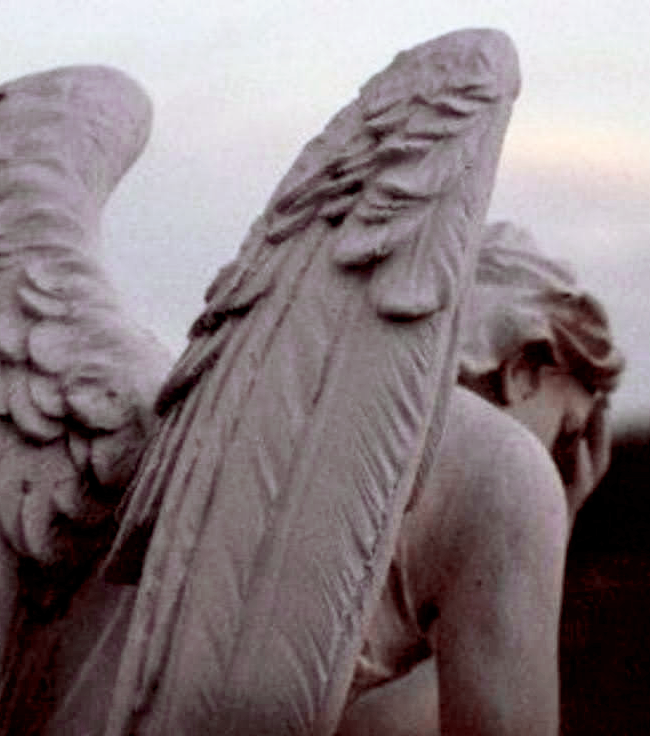 heartharps's tweet photo. "Life on Earth" for @kaynosaur 💕
angel steve/demon eddie | 5.5k words, rated E
#SteddieOmegaverseVDayExchange https://t.co/CJ7NiONzSQ