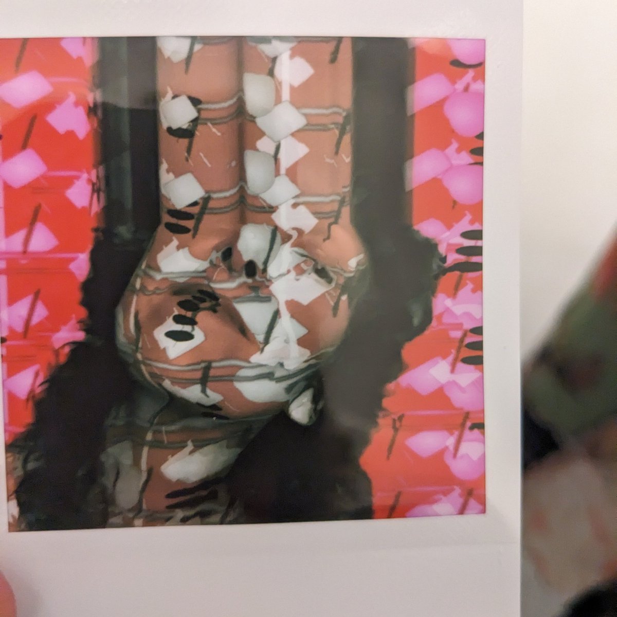 LoVid🫂📼 tweet media