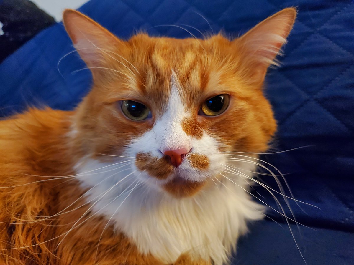 Unsolicited Dik (@chaensaw)  X