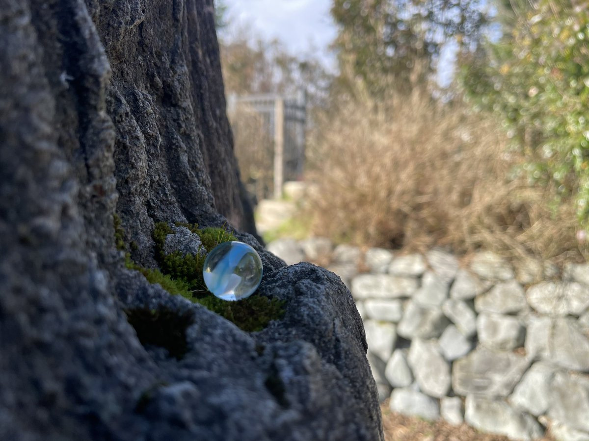 rockhunter5506's tweet photo. Come, find me good luck #monkeyshines2024 #monkeyshines https://t.co/q51MqeGJ3k