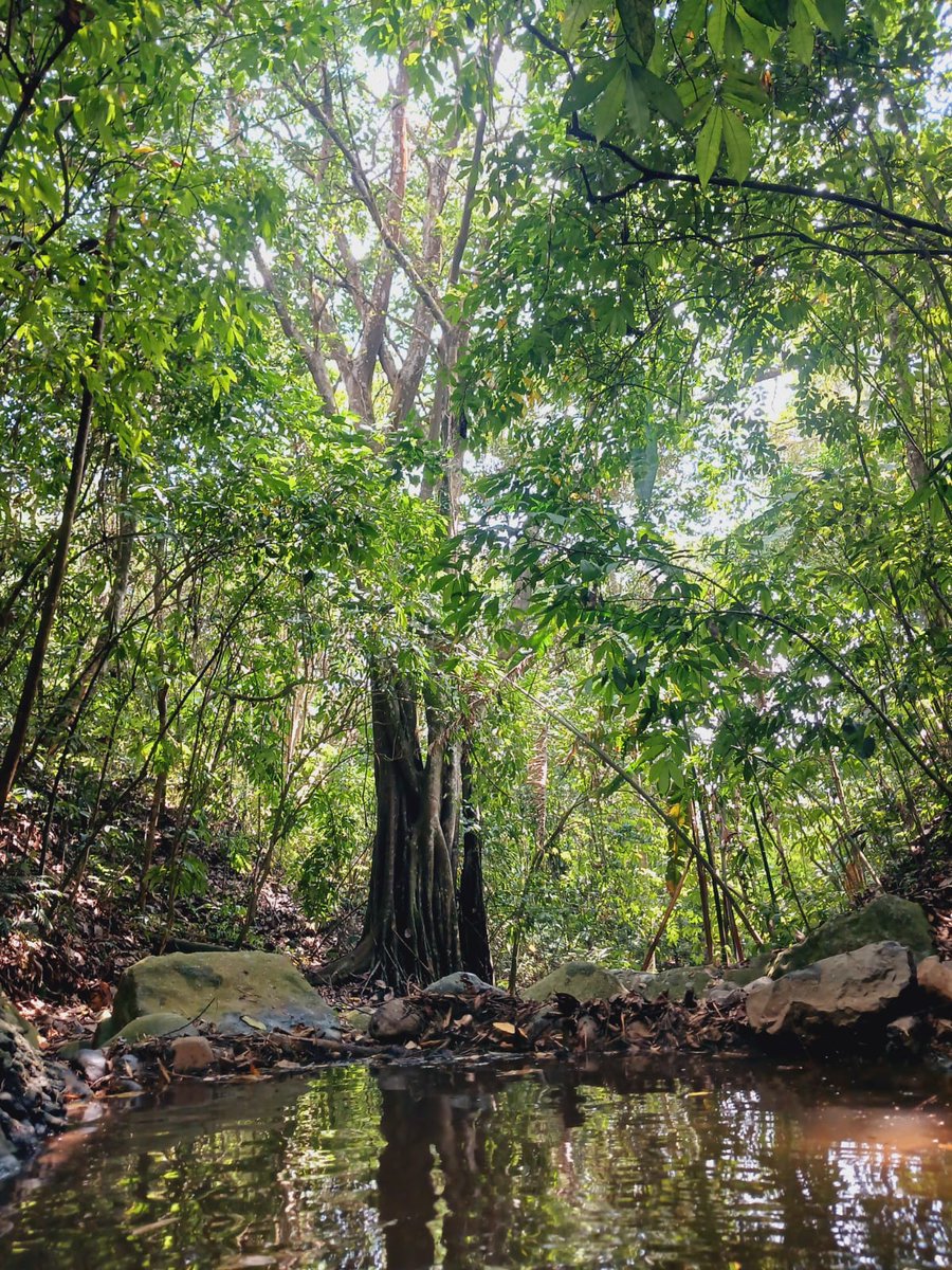 Disfrutas la fotografía de Naturaleza ?
Estamos buscando quien nos apoye como modelo para tomas en medio de la Naturaleza 
Pasadia de cortesía 
Gracias