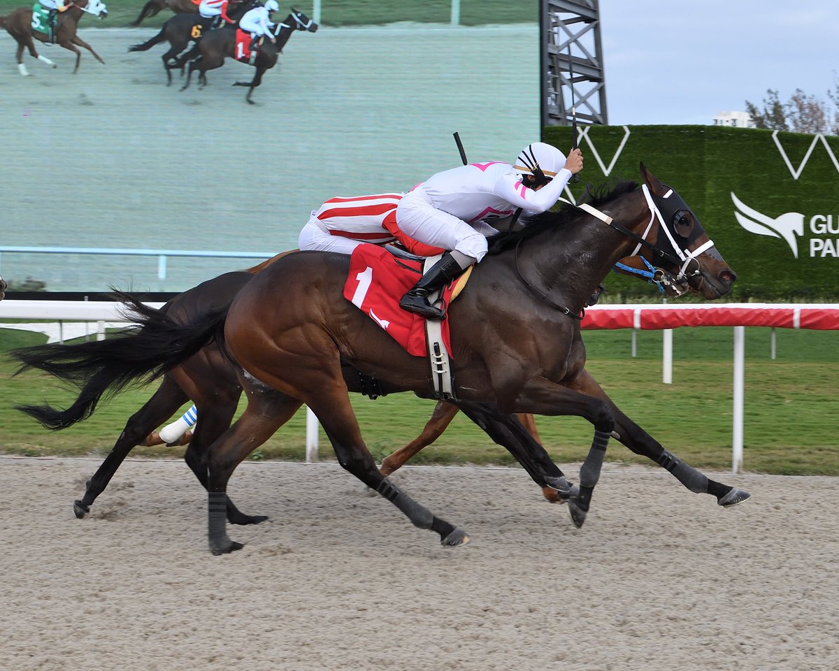 Fast Fixer, with @BridgmohanShaun, surges late to win race 10 for trainer @MGRacing_. #GulfstreamPark #ChampionshipMeet