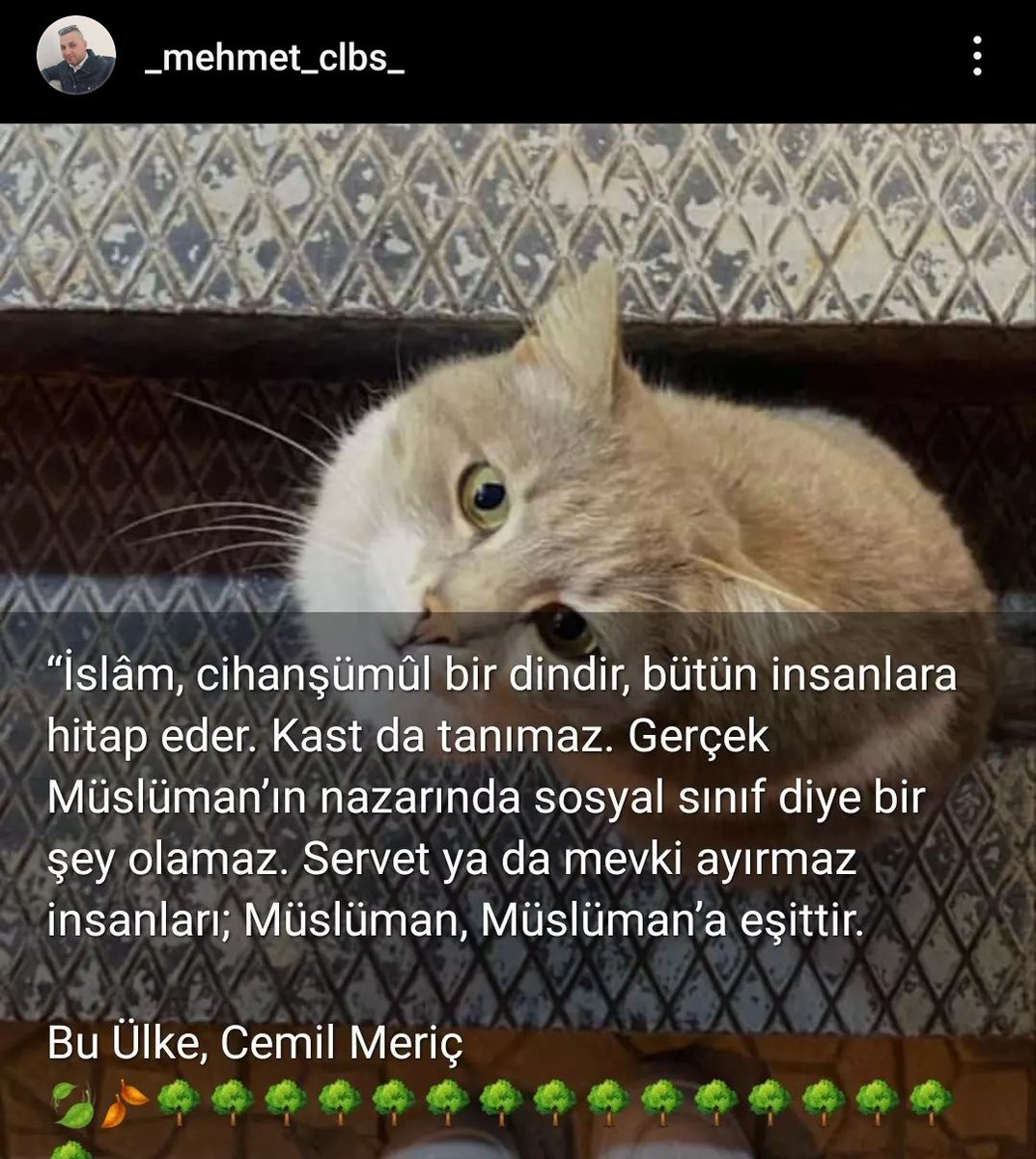 #İslâm, cihanşümül #bir dindir, #bütün insanlara #hitap eder.
 #Kast da #tanımaz. Gerçek #Müslüman'ın nazarında sosyal #sınıf diye bir şey olamaz. #Servet ya da #mevki ayırmaz insanları,#Müslüman, Müslüman'a #eşittir.

Bu #Ülke, Cemil #Meriç