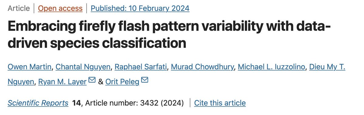 Owen Martin tweet media