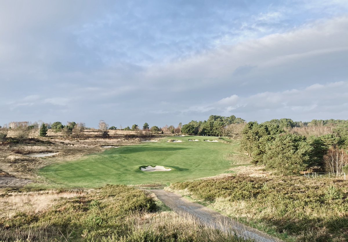 Dorset Golfer tweet media