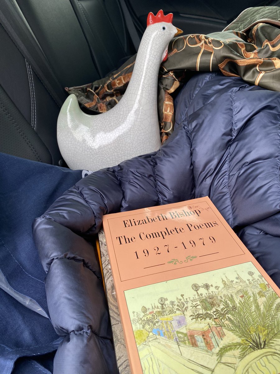 Today’s Thrift store find 😍🐓