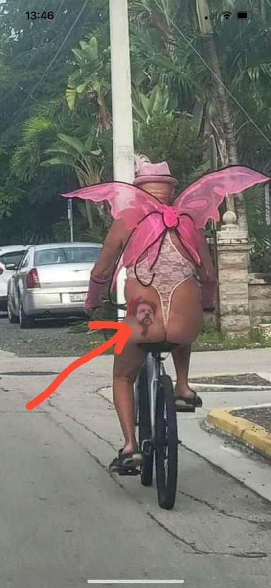 silvanetto47's tweet photo. Nesse carnaval as borboletas voam, levando Lula no rabo.kkkkkkķkkk https://t.co/ogP5yPEN4Q