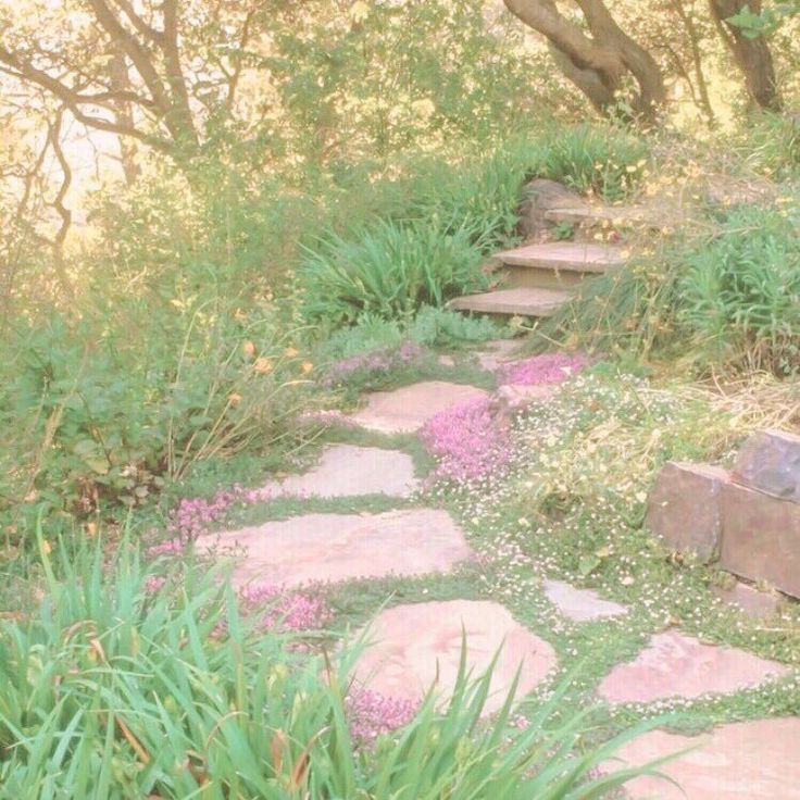 ˚₊‧꒰ა𝑩𝒊𝒏𝒈𝒐 𝒅𝒆 𝒎𝒚 𝒍𝒊𝒕𝒕𝒍𝒆 𝒑𝒐𝒏𝒚໒꒱ ‧₊˚
                                   𝑩𝒚: 🐚

𝟕 𝒓𝒐𝒃𝒖𝒙 𝒐 𝒓𝒆𝒈𝒂𝒍𝒐 𝒅𝒆 𝟓𝟎𝟎 𝒎𝒐𝒏𝒆𝒅𝒂𝒔 𝒆𝒏 𝒑𝒍𝒂𝒕𝒐