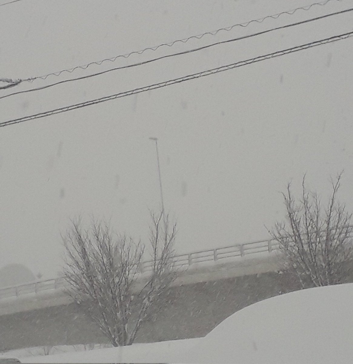 d8trC7wBh8Lslf6's tweet photo. ♪重たいトビラを開けて
もう行く時間だ♪
ゆ、雪が…。北の街の朝ソラ。前が見えません。気をつけていってらっしゃい。いってきます((🙋
#DOOR #カルマ
#蝦名摩守俊
#morsel #1 は心で https://t.co/ZnpXIsfM4H