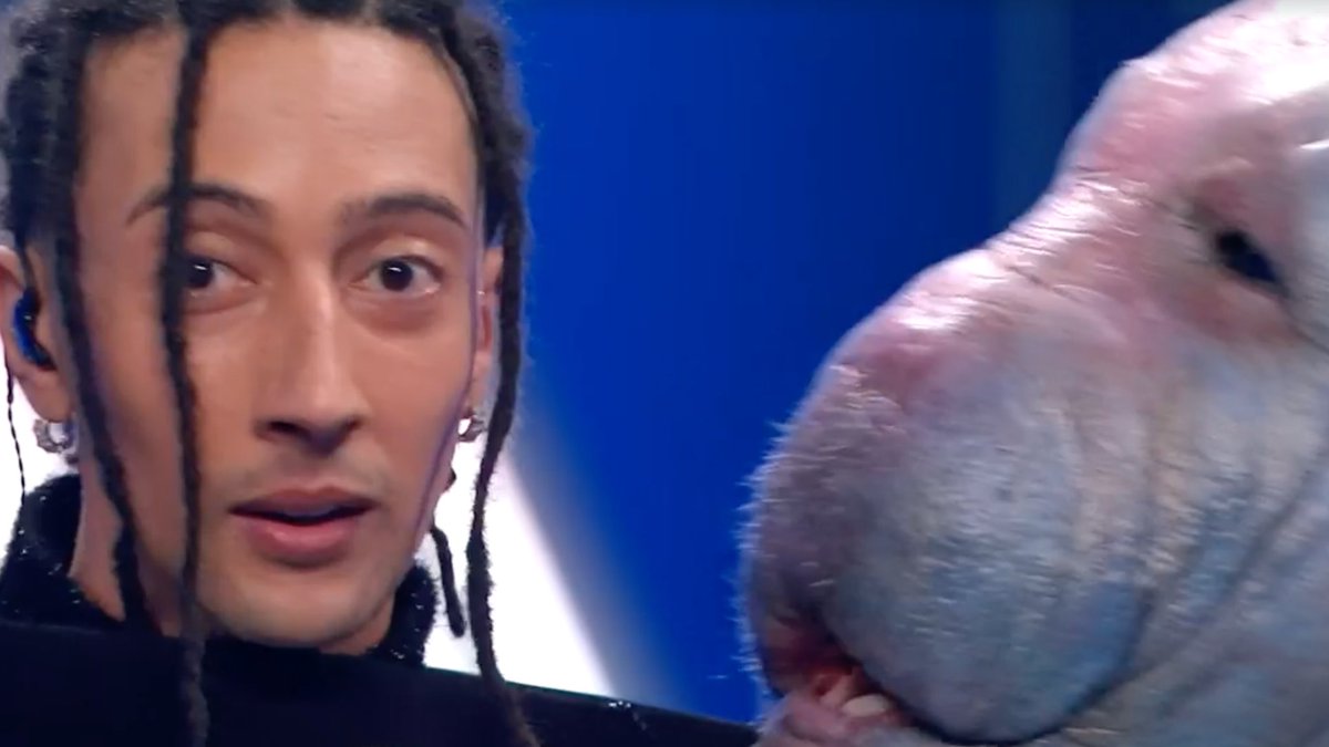 "STOP THE GENOCIDE" - Ghali (and Rich the alien) after his #Sanremo2024 performance.