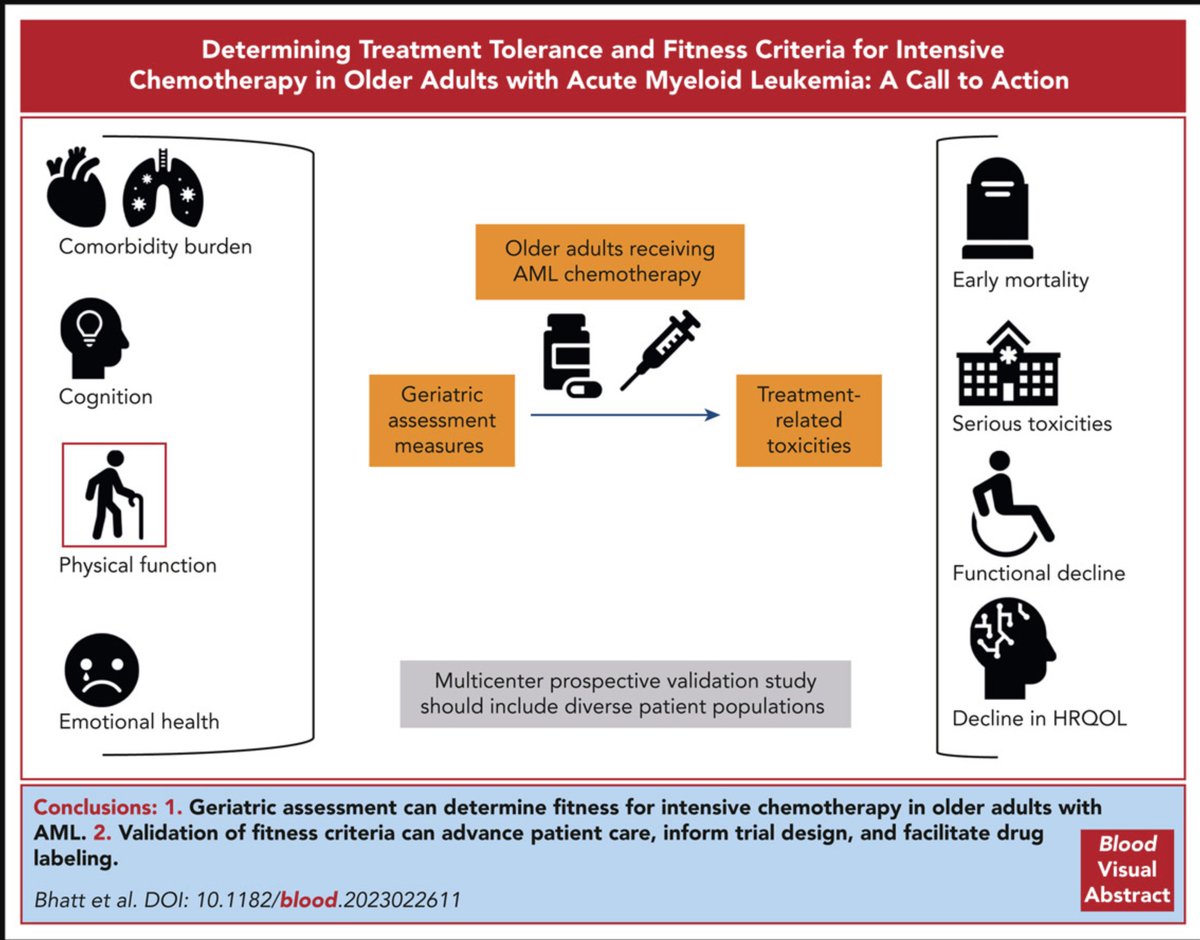 How do you define #fitness for IC in #older adults with #AML? Our perspective paper in @BloodJournal @HKlepinMD @Geoff_Uy authors.elsevier.com/a/1iZUY_9T5toZB #geriheme @UNMCHemeOnc @UNMC_IM @unmc_research