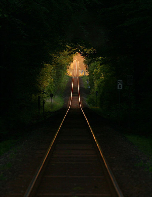 Railroad Tree Tunnel, France #RailroadTreeTunnel #France montybridges.com