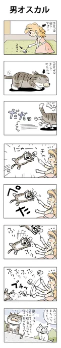 男オスカル#こんなん描いてます #自作まんが #漫画 #猫まんが #4コママンガ #NEKO3 