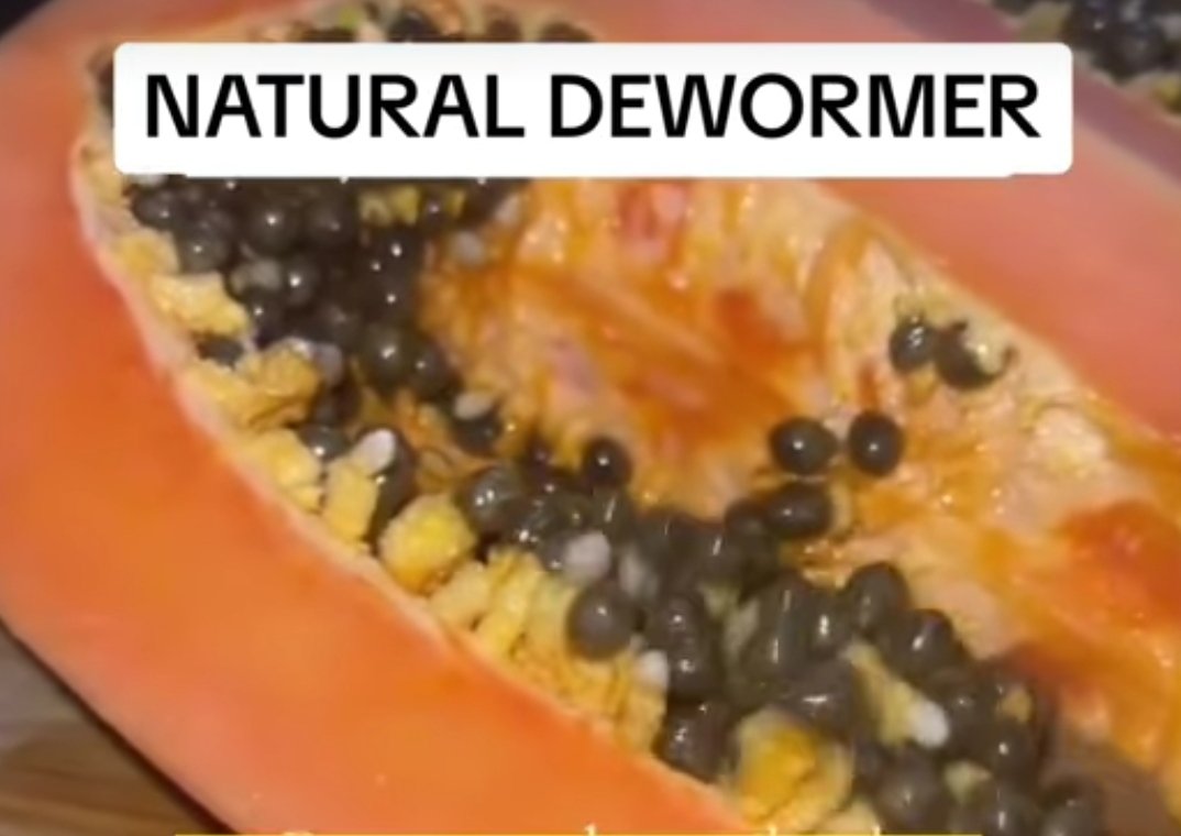 Parassiti

2 cucchiai di semi di papaya, mezzo bicchiere acqua. Centrifugare e bere a stomaco vuoto per 3 giorni .