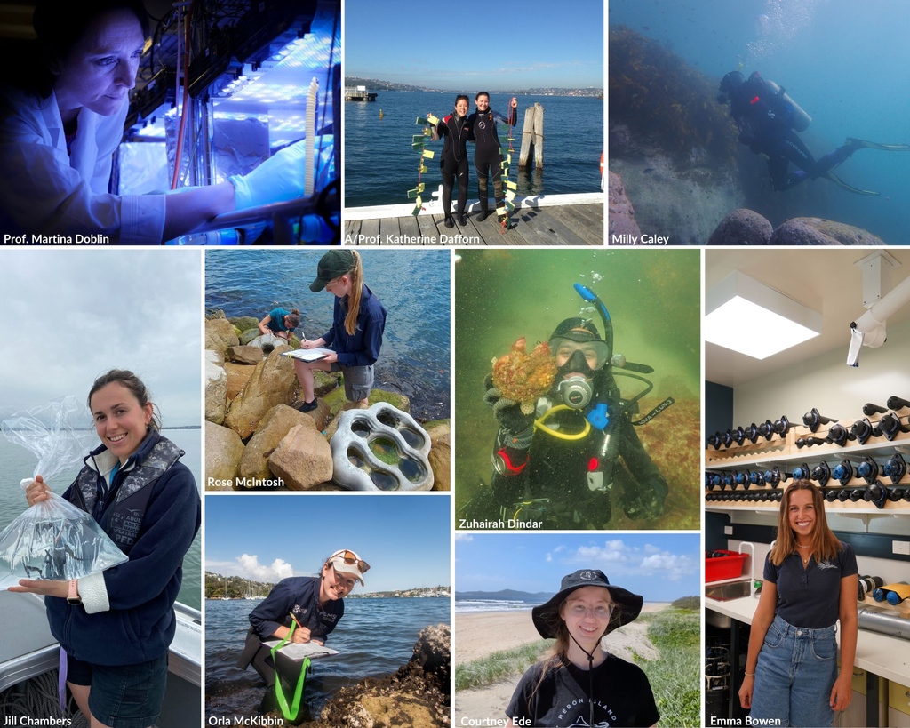 🌊✨ Celebrating the UN International Day of Women and Girls in Science with our #WomenInScience! 🌟🔬 Today, we're proud to spotlight the trailblazing women in science at SIMS. They each have their own unique journey and they inspire the next generation ocean changemakers!