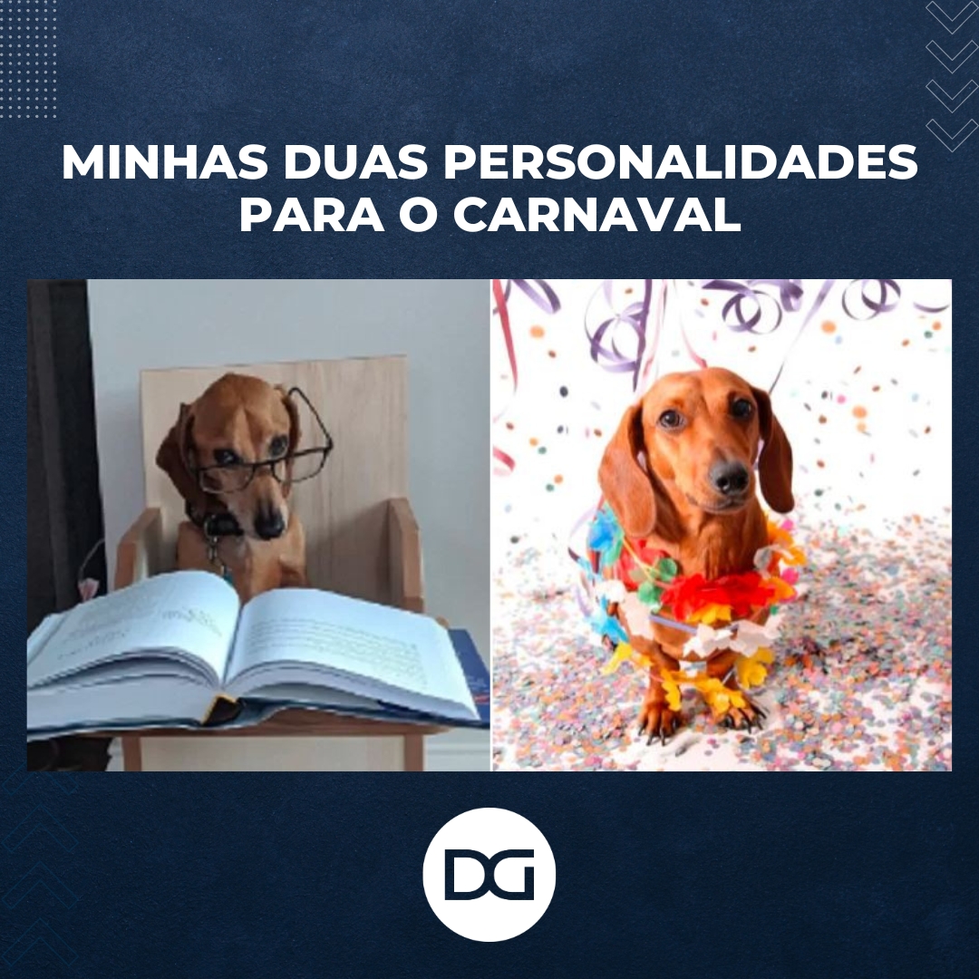 blogdodg's tweet photo. Um pouco de cada, né? 😅

Feriado perfeito para estudar, se divertir, e ainda colocar o sono em dia.

Conta para mim quais são os seus planos neste carnaval 🤔

#blogdodg #meme #carnaval #estudos https://t.co/R0dARBd2D9