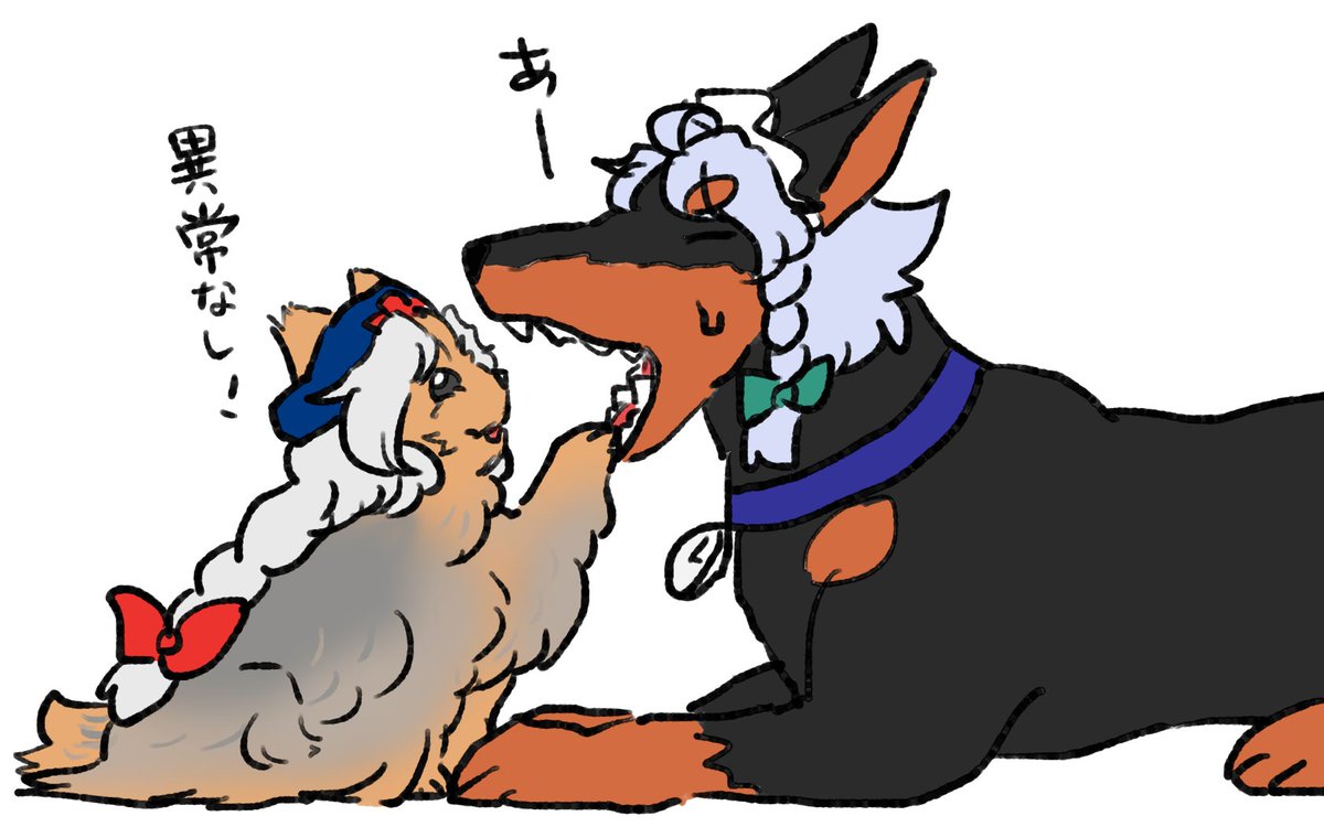 犬になっても良いね、月の頭脳…… 
