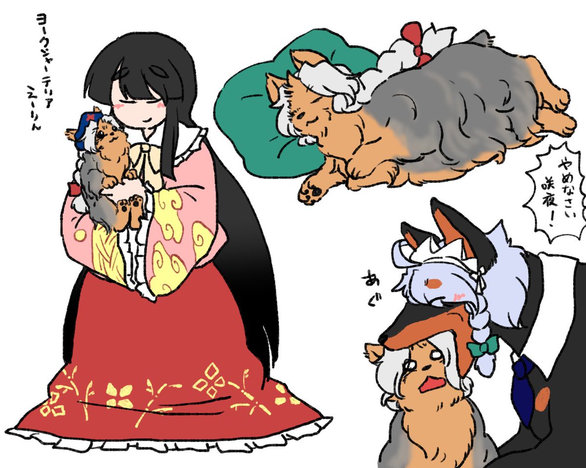 犬になっても良いね、月の頭脳…… 