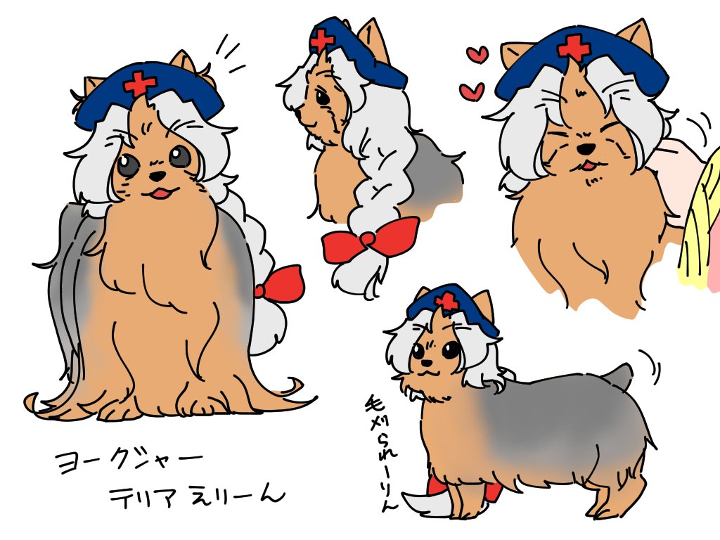 犬になっても良いね、月の頭脳…… 