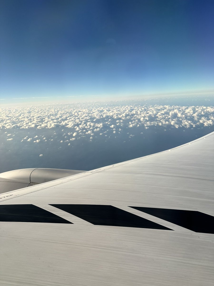 久しぶりに✈️