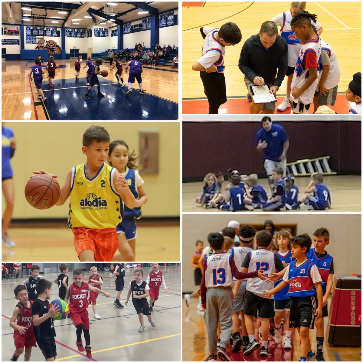 Alodia Basketball tweet media