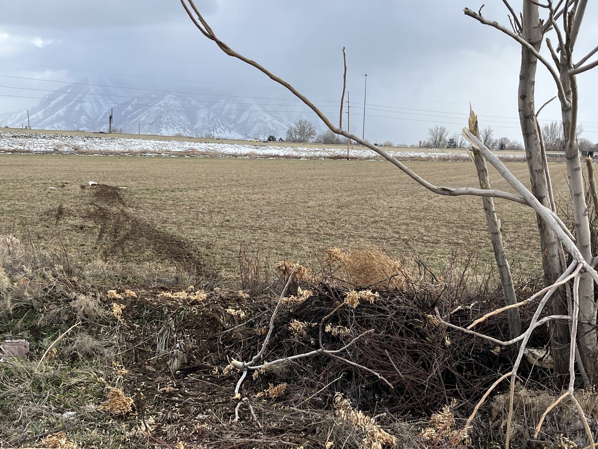 SpanishForkPDFE's tweet photo. Pilot &amp; passenger both safe after making an emergency landing in a field and coming to rest in a neighbor's front yard.

https://t.co/aWR1GmNat4 https://t.co/nLj5eTzaY5