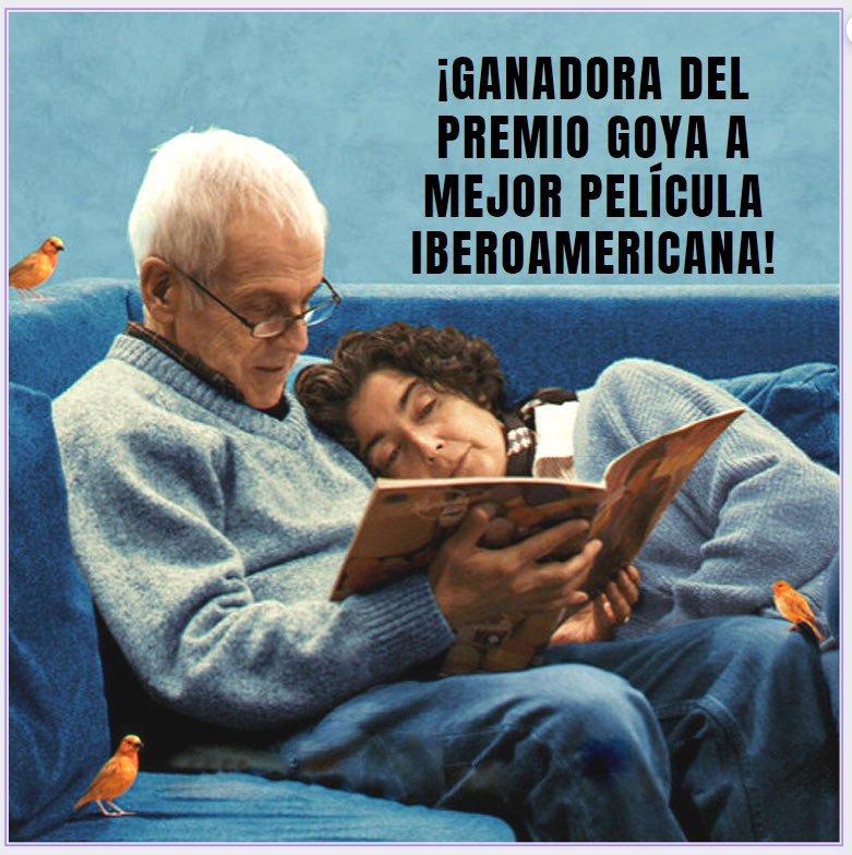 Academia de Cine de Chile tweet media