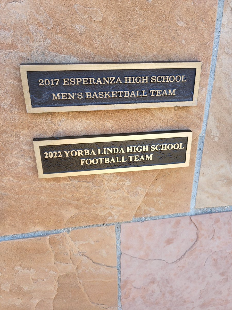 YLHS Football tweet media