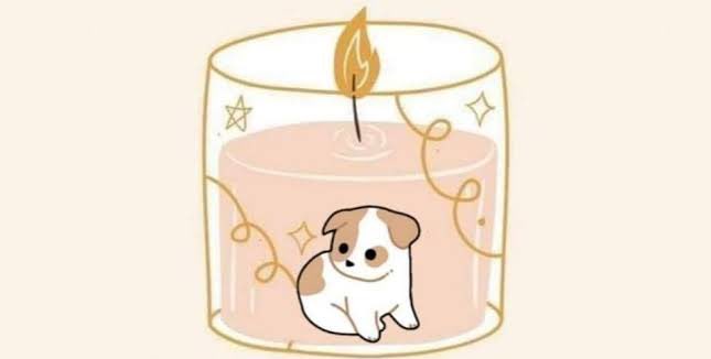 Velita para que los perritos callejeros encuentren un hogar que los cuide y les de amor🕯️