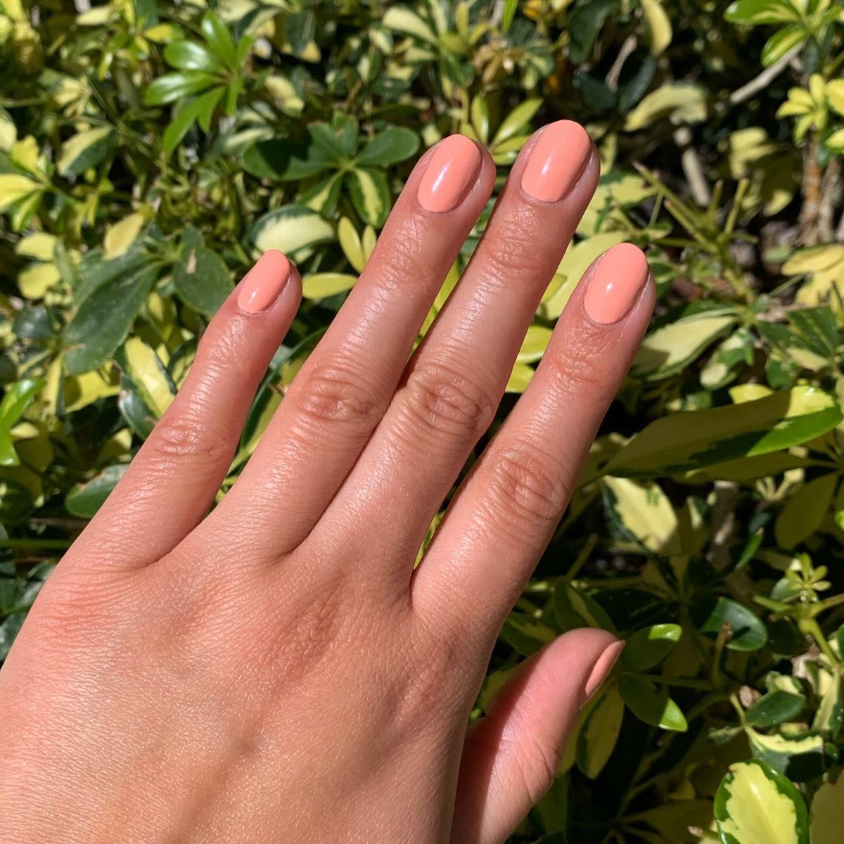 Valerie ✨ tweet media