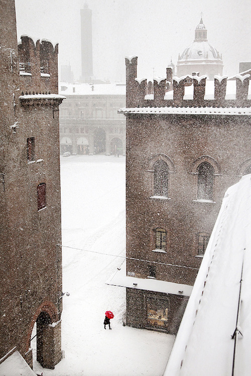 Snowy Day, Bologna, Italy #SnowyDay #Bologna #Italy janicemarsh.com