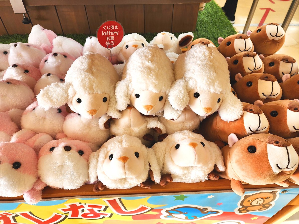 今日も元気に営業中！ 人気のぬいぐるみクジにヒツジさんが新しく