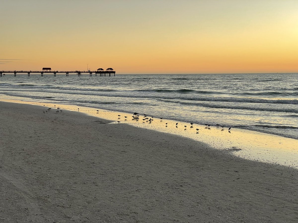 Another breathtaking Clearwater sunset! No matter how many times I've witnessed it over the past four years, its beauty never fails to captivate me. 🌅 #ClearwaterSunset #Nature'sWonder