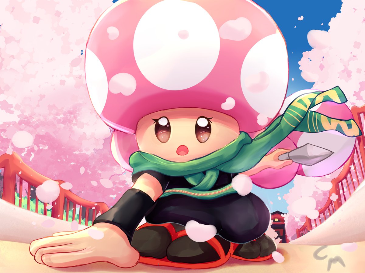 Ninja Toadette. Based on the ninja costume of Peach in her