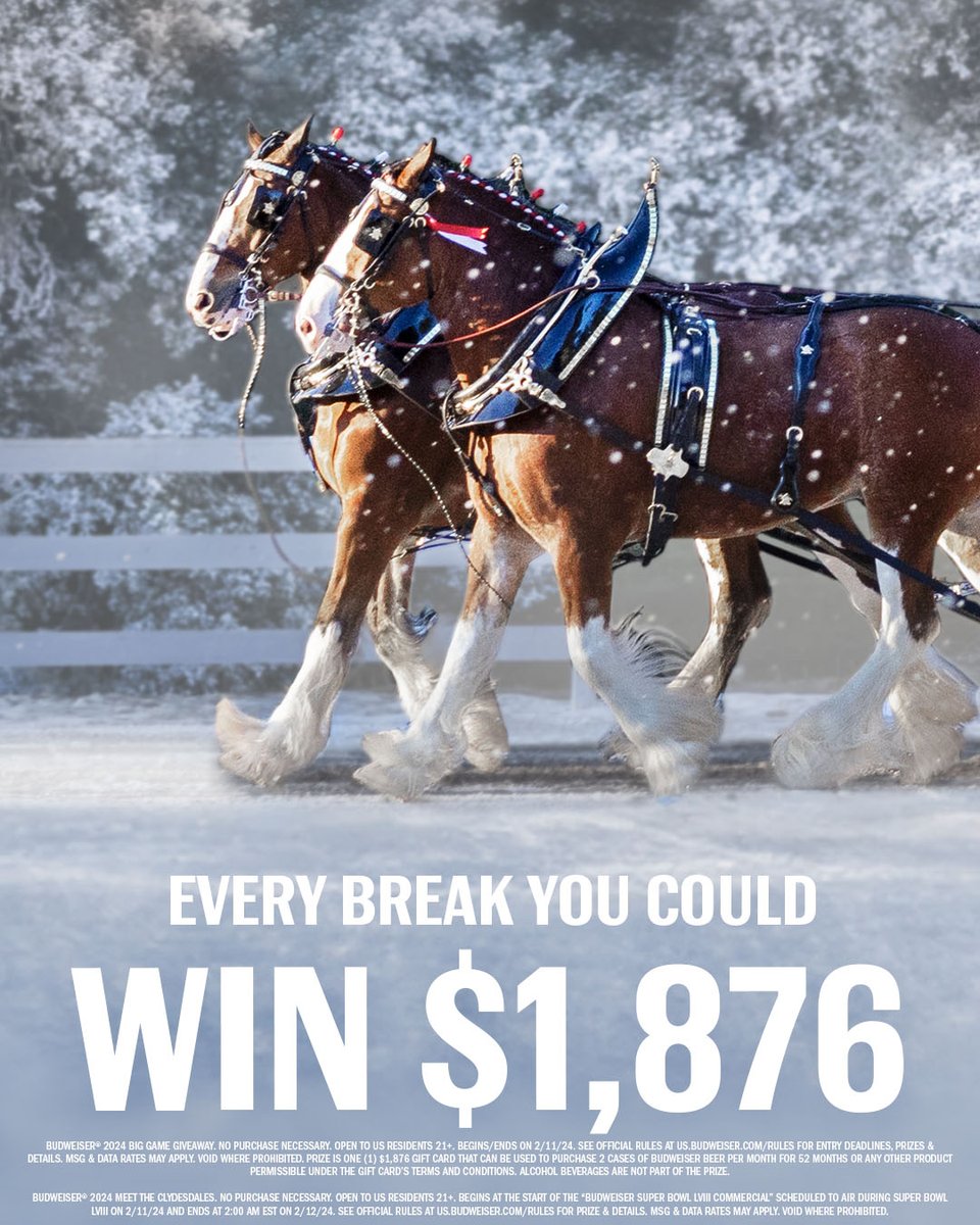 budweiserusa's tweet image. The Clydesdales are taking over #SBLVIII tomorrow, one commercial break at a time. 

We're giving away $1,876 every commercial break and a special prize once our commercial airs. All you've got to do is enter for a chance to win using  #DeliveringSince1876 &amp;amp; #Sweepstakes.