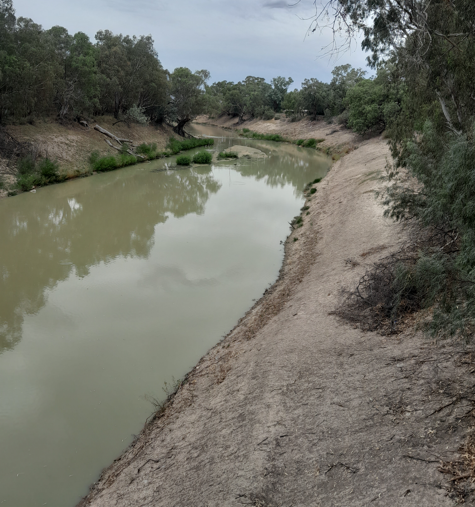 🗣️ The building of a new Wilcannia Weir has fit lengthy delays! 🌊

👥 Wilcannia residents and parliamentarians are asking for answers! 👉 barriertruth.com.au/locals-want-ac…

#WilcanniaWeir #DarlingRiver